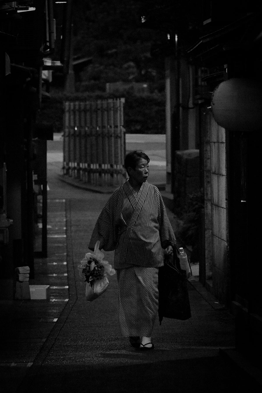 JAPÓN II