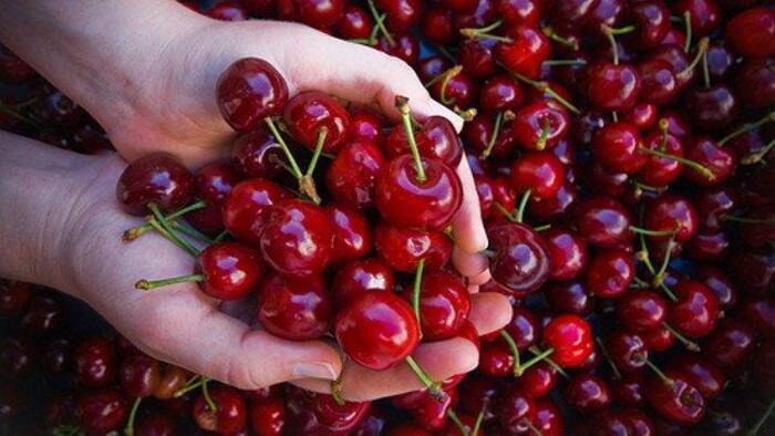 Cerezas de Aragón