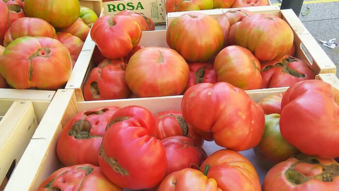 Tomate rosa Barbastro
