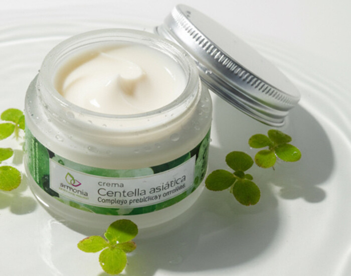 Armonia Netural belleza otoño