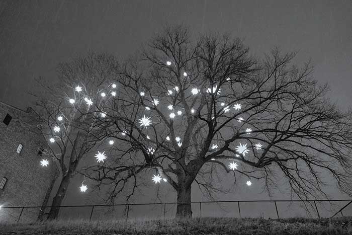 Arbol con luces Navidad