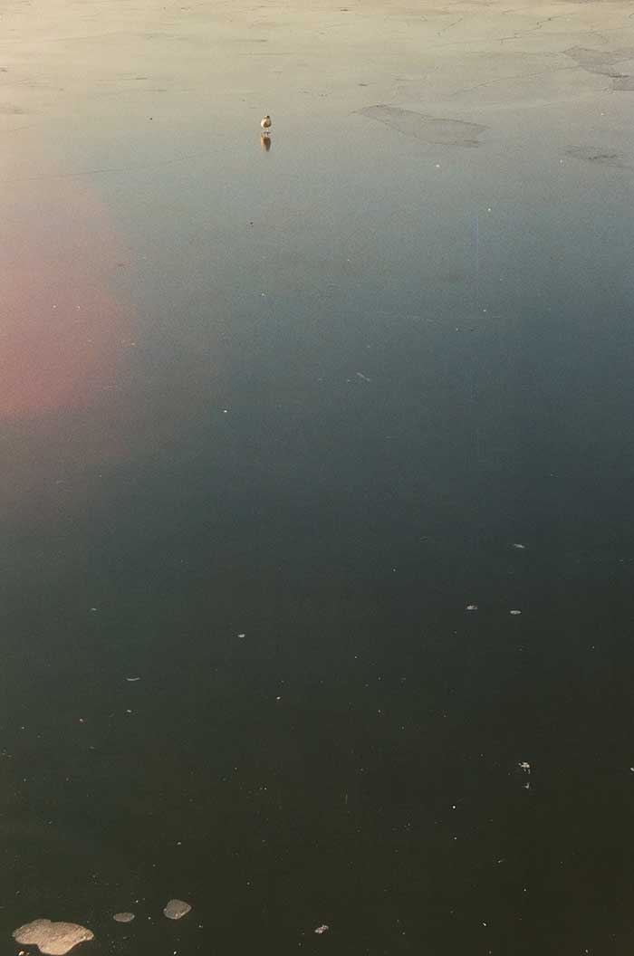 Reflejos en el mar Oslo Mar congelado Noruega