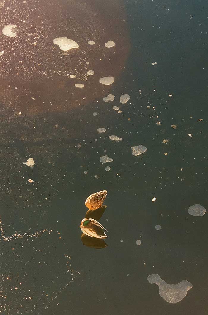 Navidad en Oslo, Noruega II