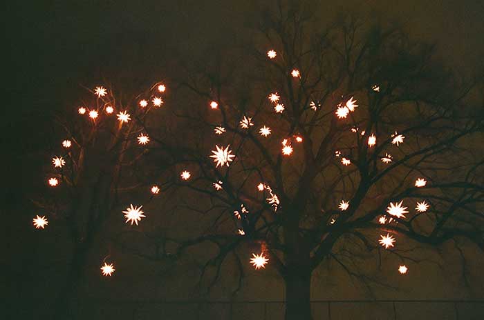 Luces de Navidad árbol Oslo Arbol con luces navidad Noruega